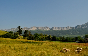 VALLE DE MENA